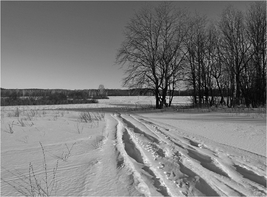 Фото жизнь