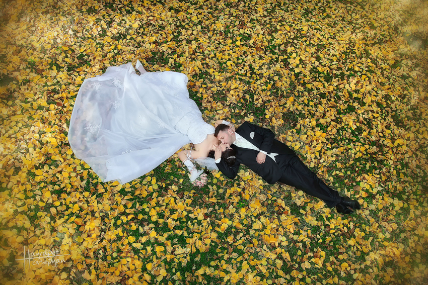 Фото жизнь (light) - Hayrapet Hovsepyan - Wedding - ******