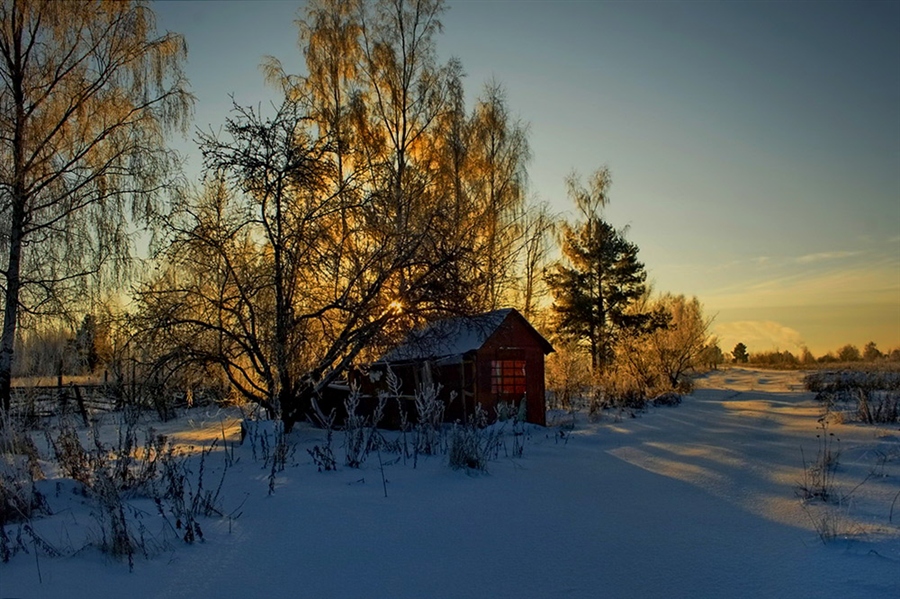 Фото жизнь