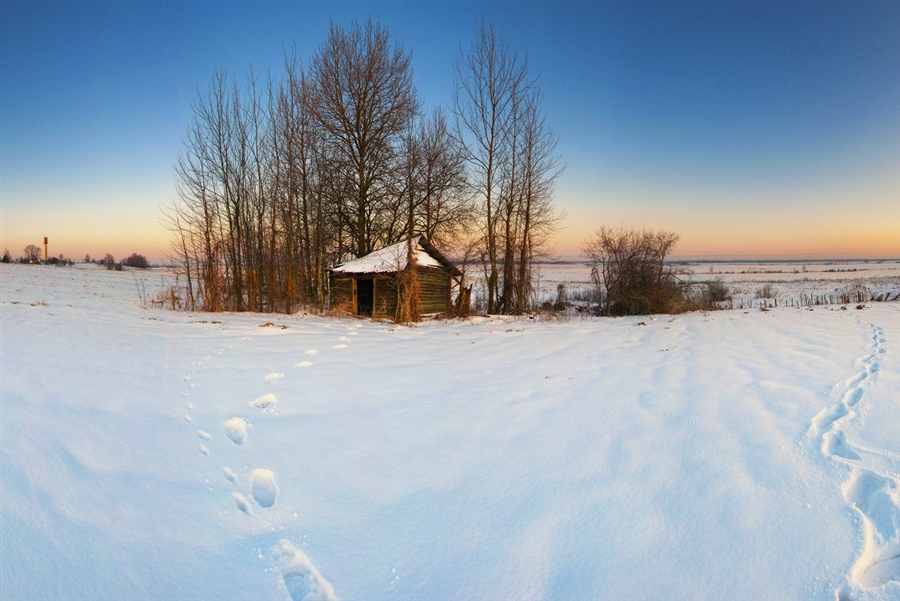 Фото жизнь