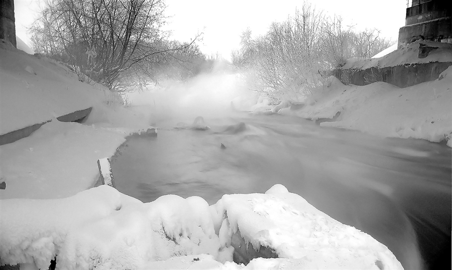 Фото жизнь