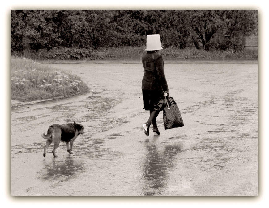 Фото жизнь - Виктор Кошель - корневой каталог - Дождь