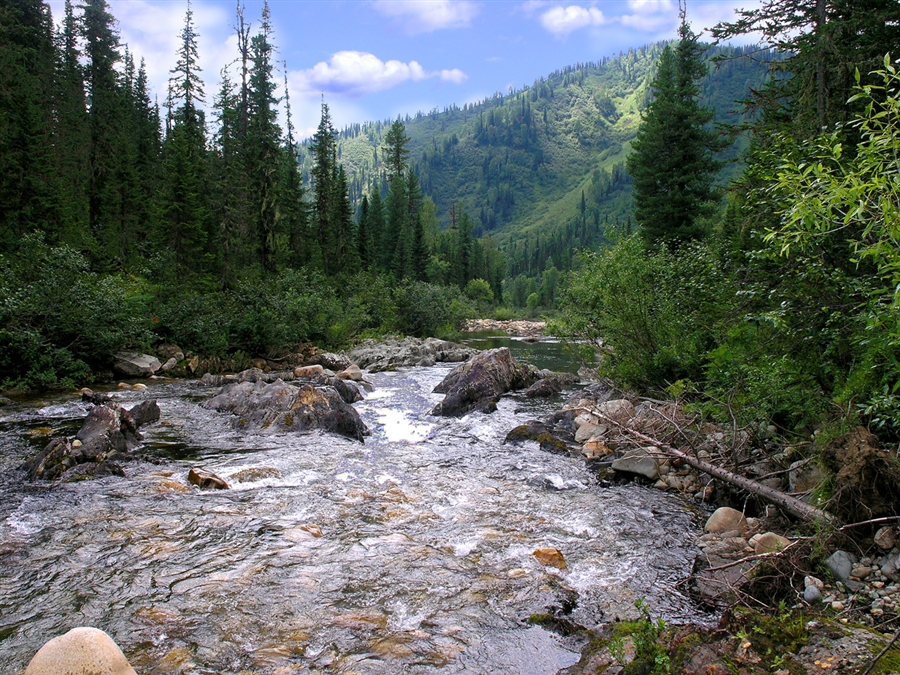 Фото жизнь