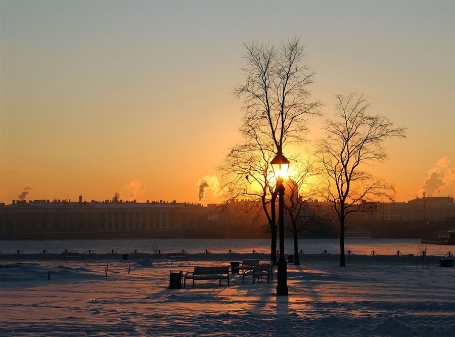 Фото жизнь