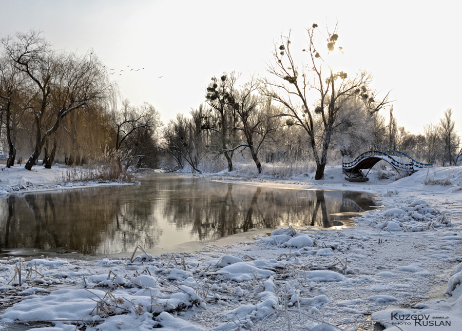 Фото жизнь - Кузьгов Руслан - корневой каталог - Морозное утро