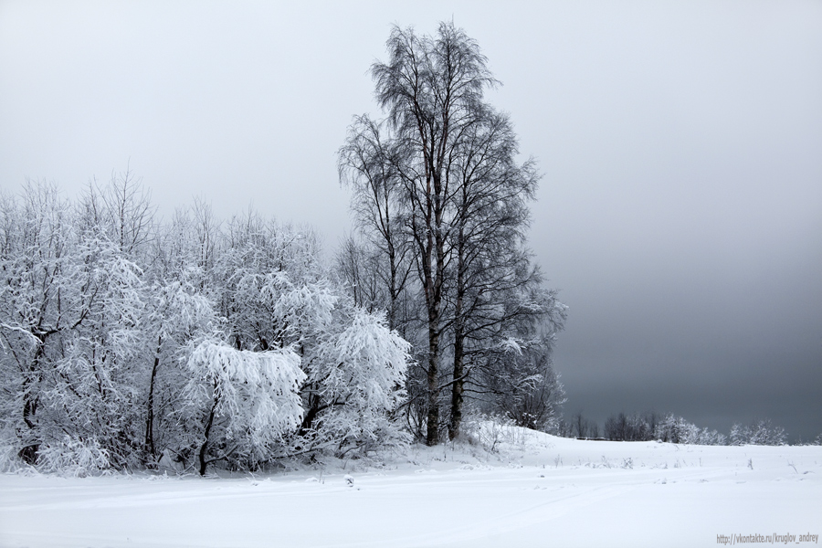 Фото жизнь - Андрей Круглов  - корневой каталог - зимнею порой 3