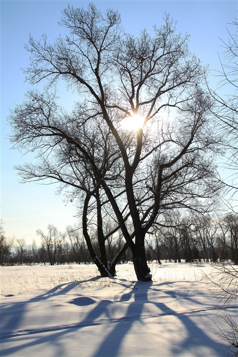 Фото жизнь