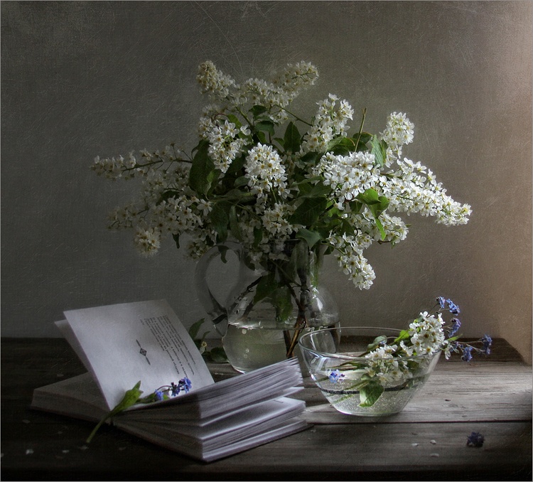 Фото жизнь (light) - Татьяна Еремеева - корневой каталог - Нежность весны