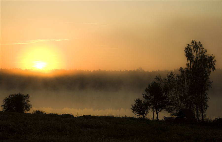 Фото жизнь