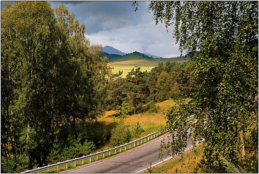 Фото жизнь