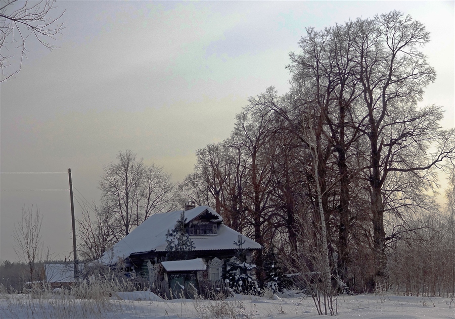 Фото жизнь