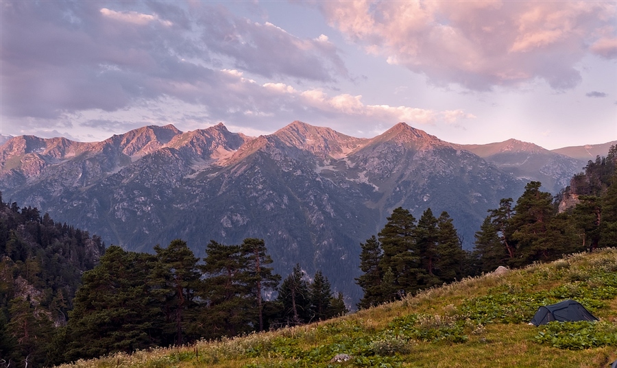 Фото жизнь