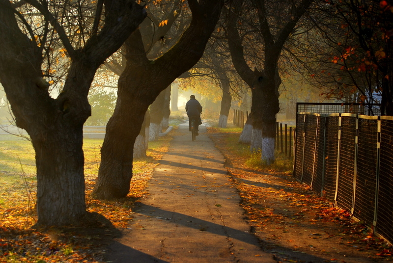 Фото жизнь (light) - Виктор Кошель - корневой каталог - Утро