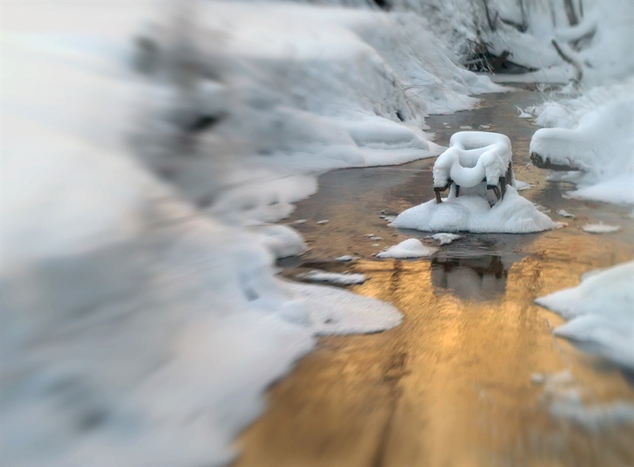 Фото жизнь
