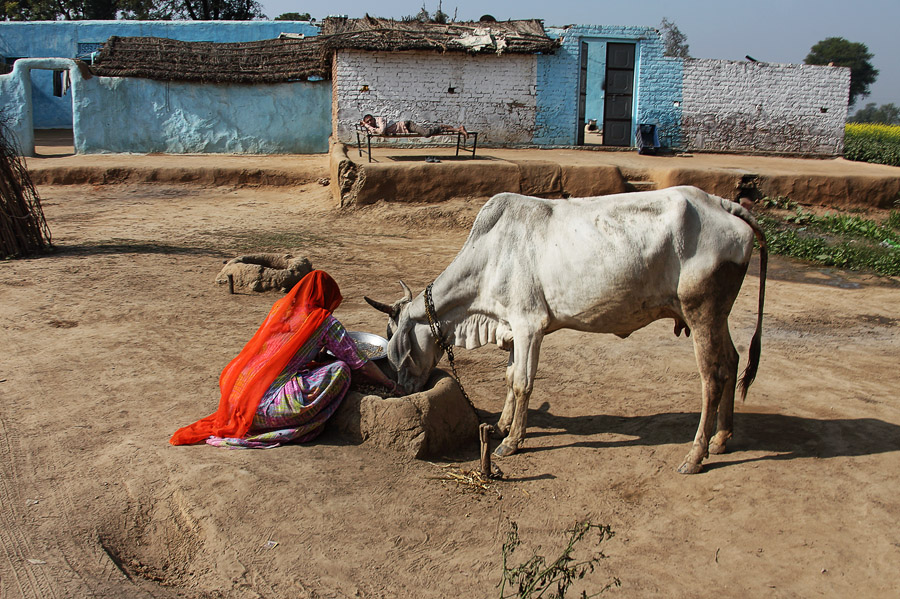 Фото жизнь - PhotoSD - Индия - Женская доля и доля мужская