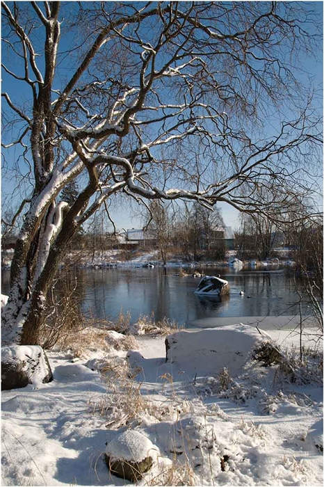 Фото жизнь