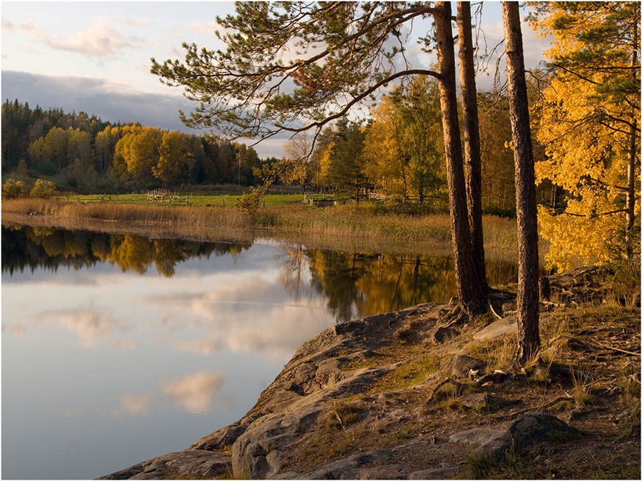 Фото жизнь