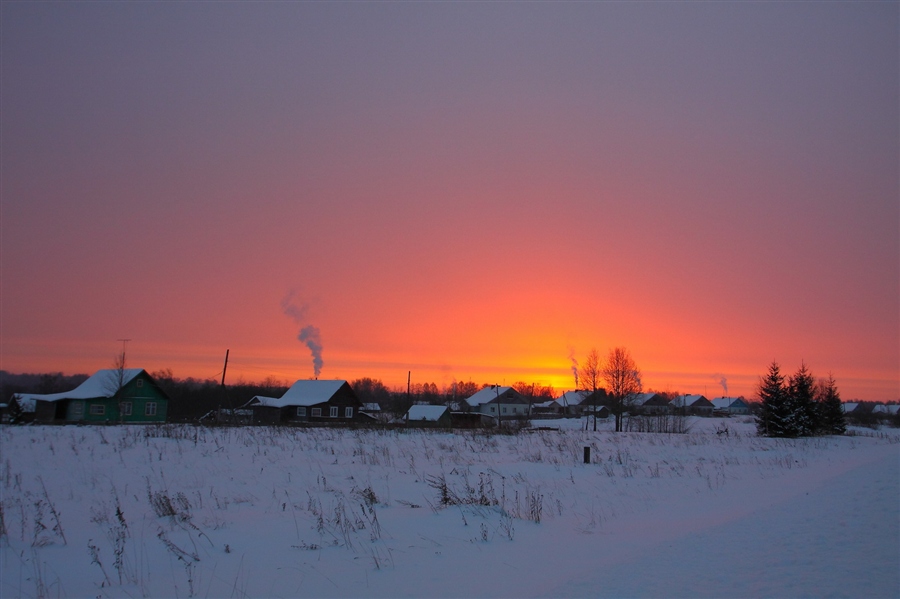 Фото жизнь