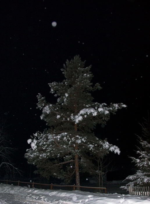 Фото жизнь