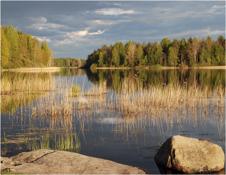 Фото жизнь