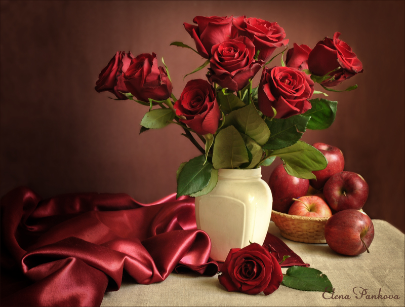 Фото жизнь (light) - Elena_P - корневой каталог - Красные розы