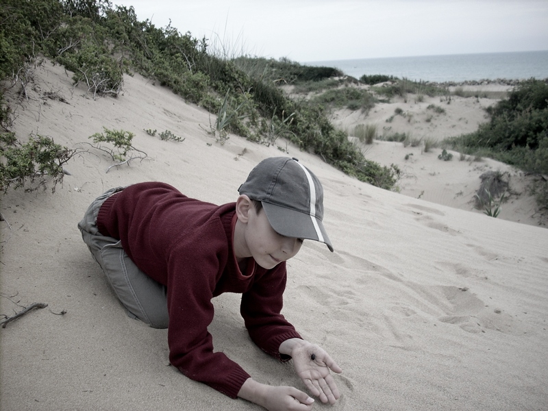 Фото жизнь (light) - galet - корневой каталог - дюны
