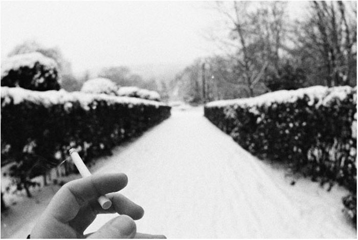 Фото жизнь (light) - Euphoria - корневой каталог - snow