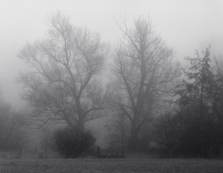 Фото жизнь - mystera - Faszination Nebel. - ...