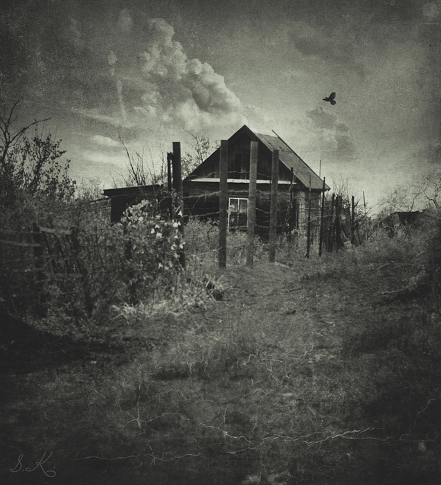 Фото жизнь