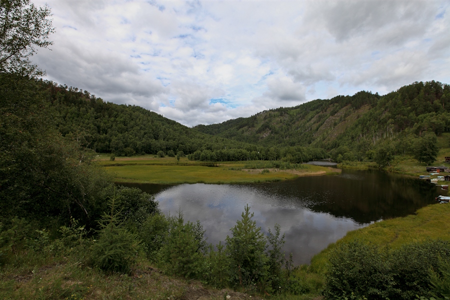 Фото жизнь