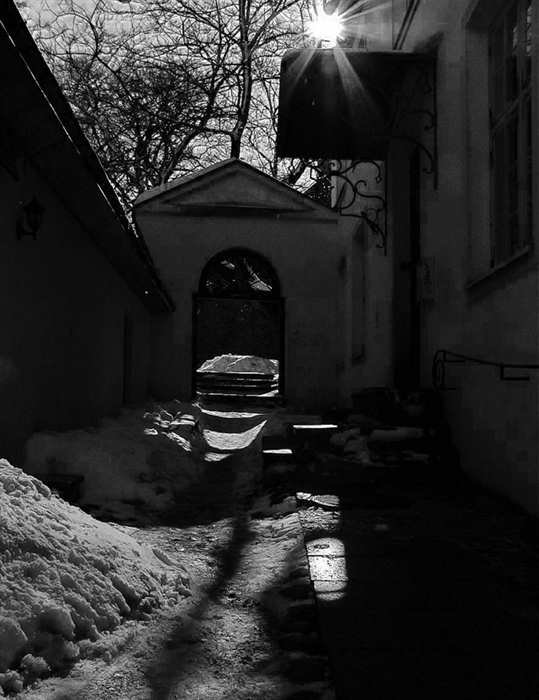 Фото жизнь