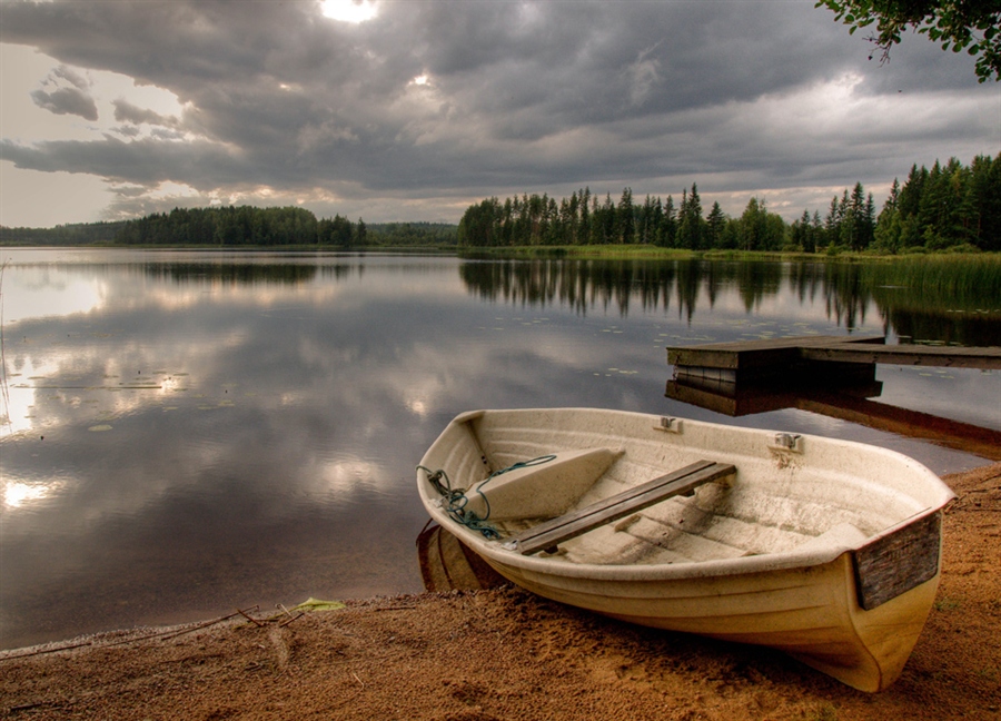 Фото жизнь