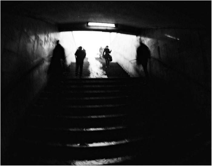 Фото жизнь (light) - Euphoria - корневой каталог - up/down