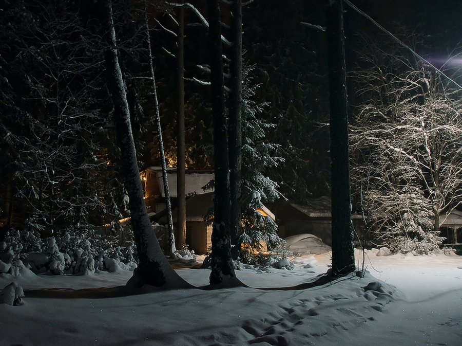 Фото жизнь
