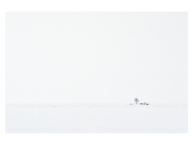Фото жизнь (light) - karyal - корневой каталог - Минимум