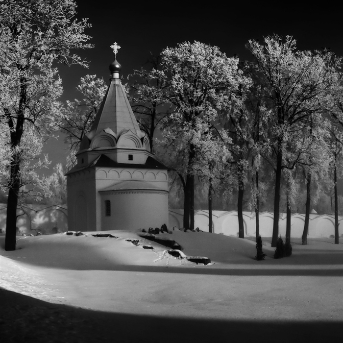 Фото жизнь