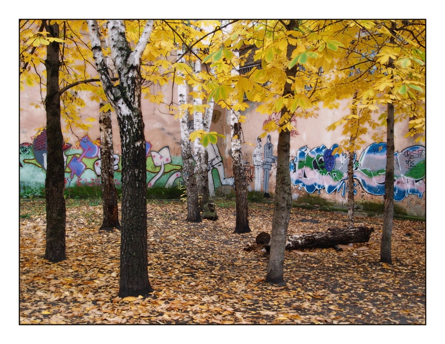 Фото жизнь