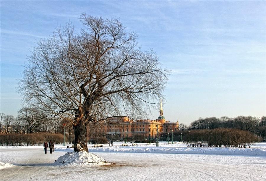 Фото жизнь