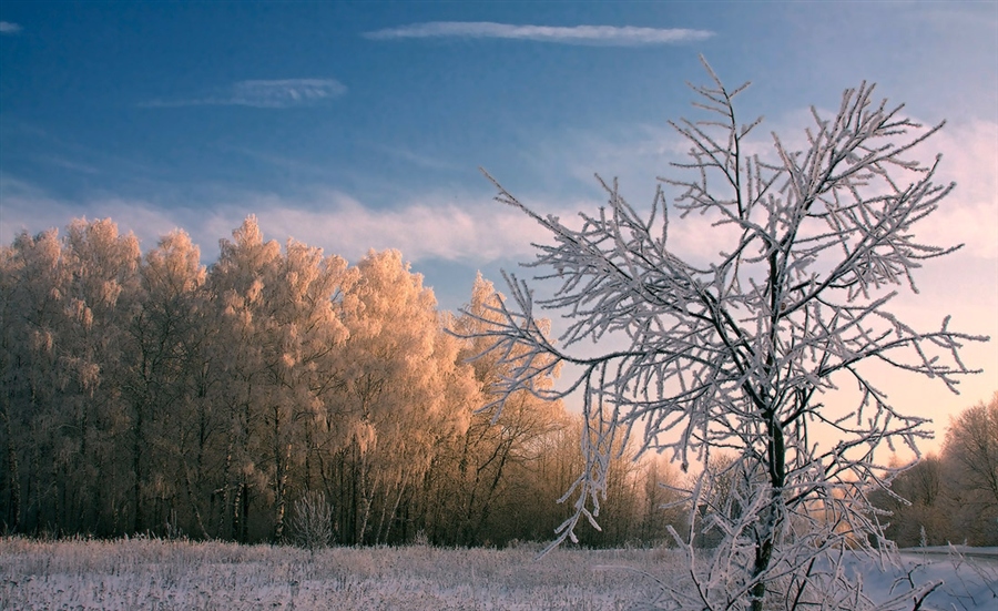 Фото жизнь