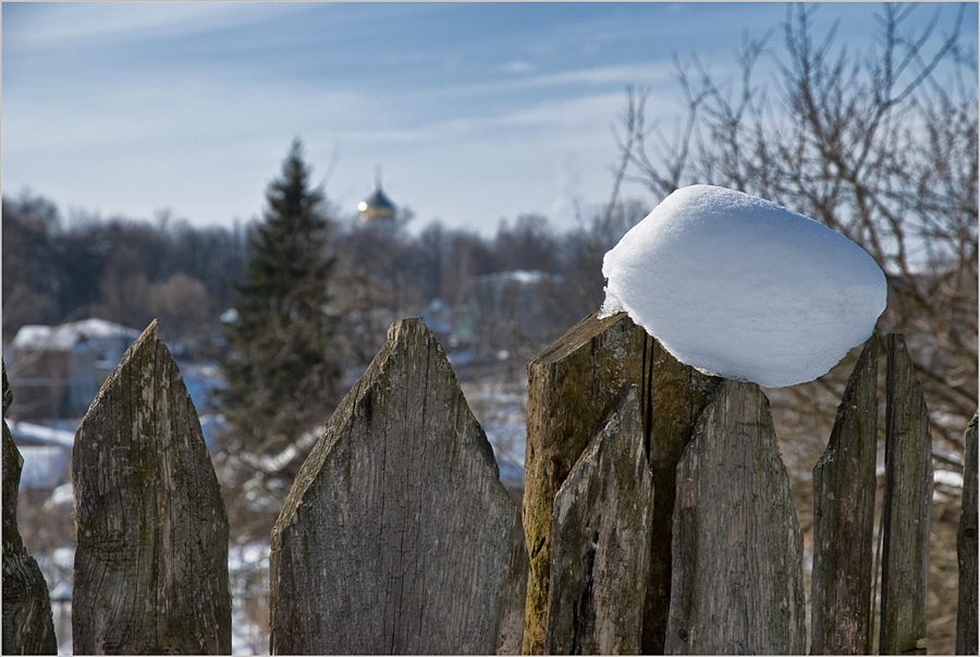 Фото жизнь