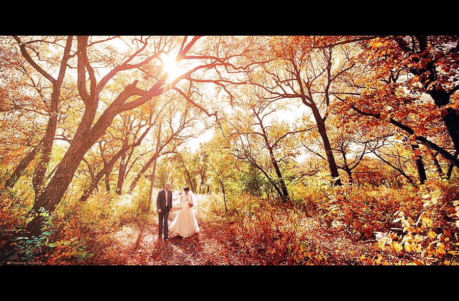 Фото жизнь (light) - Роман Попов - корневой каталог - *