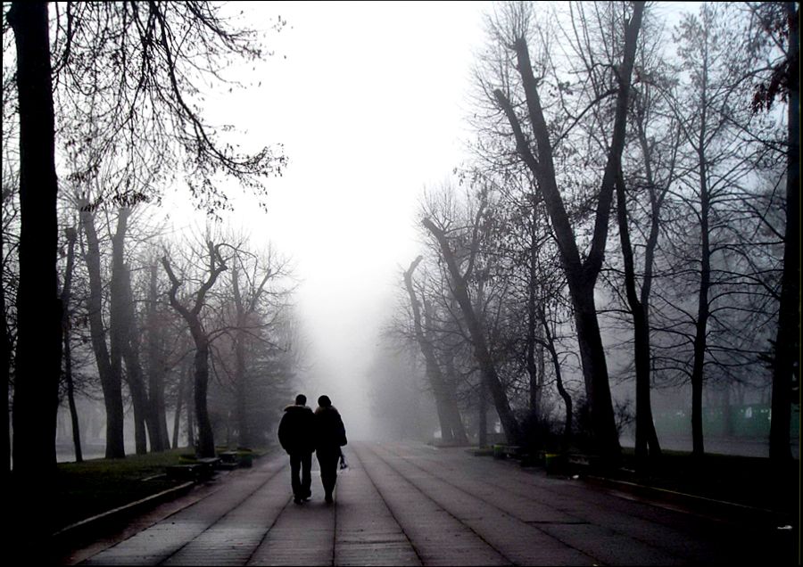 Фото жизнь (light) -  Сергей Якубенко - корневой каталог - в туман....
