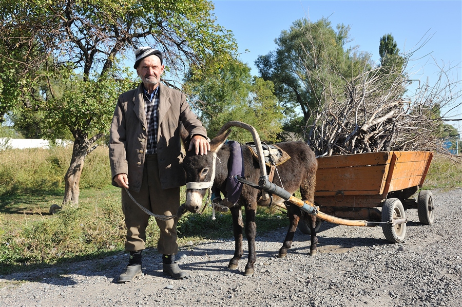 Фото жизнь