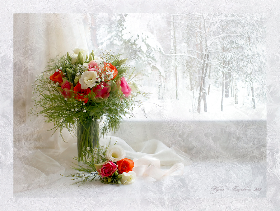 Фото жизнь - Mariya-Luiza - Натюрморты - Яркая нежность зимы