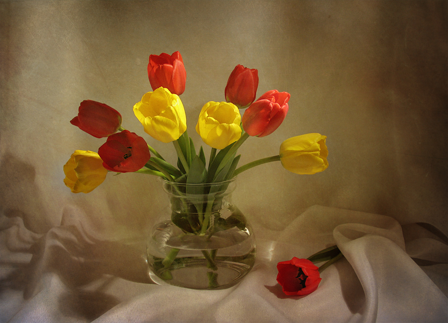 Фото жизнь (light) - Елена Завитаева - Натюрморты с цветами - Поздравляю с женским днем!