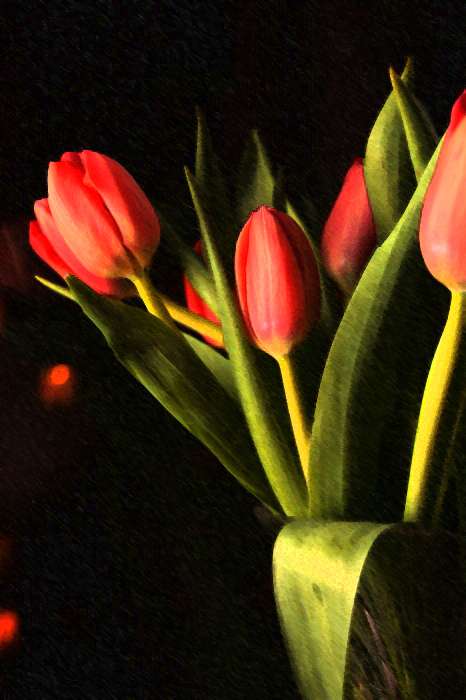 Фото жизнь (light) - Ascold - корневой каталог - Тюльпаны 