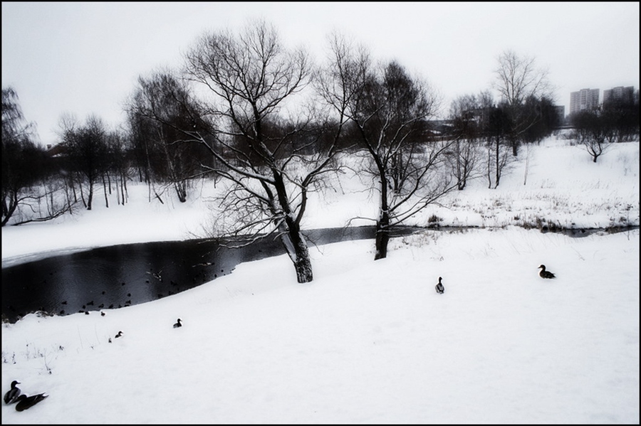 Фото жизнь