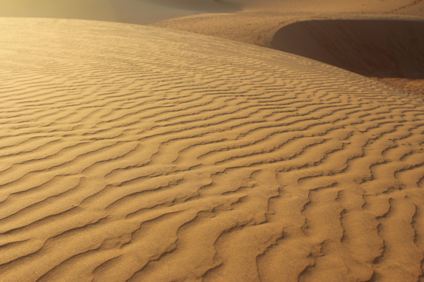 Фото жизнь (light) - uk - корневой каталог - дюны