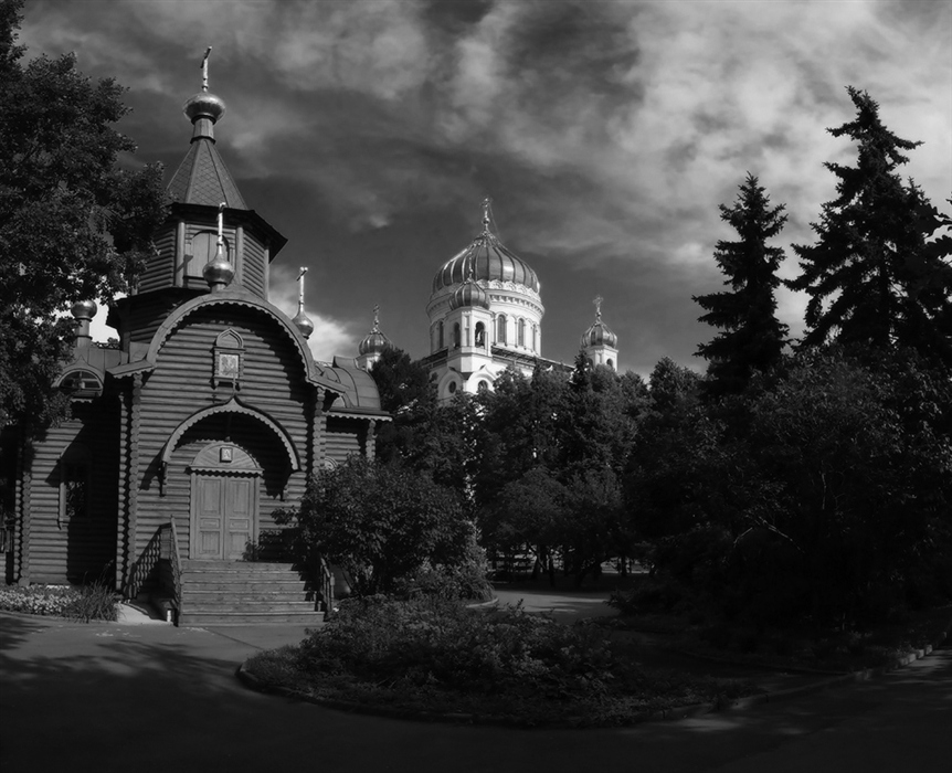 Фото жизнь