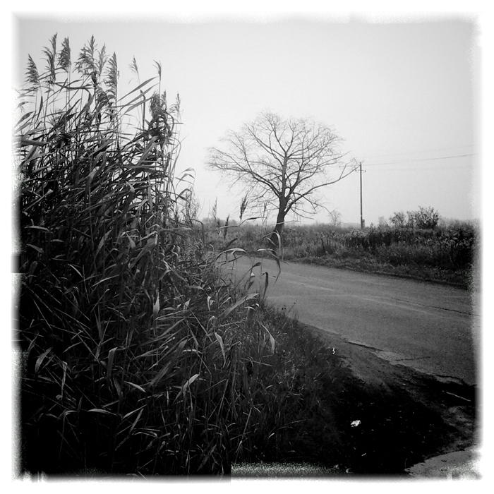 Фото жизнь (light) - chveta_neba -  vignette for android & in 100 грамм - 053